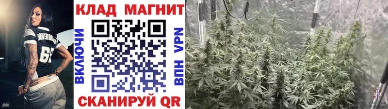 Виды наркотиков купить Заозёрный ГАШ  Конопля  КОКАИН  A-PVP  Меф 