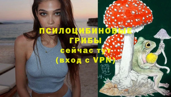 spice Балахна
