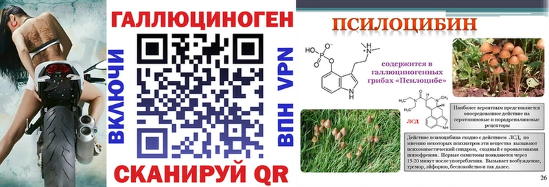 Псилоцибиновые грибы мицелий  Заозёрный 